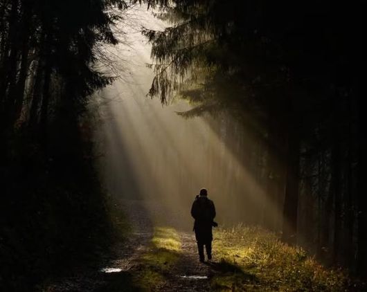 Schatten und Licht